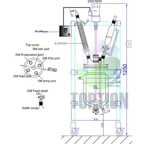 Reactor de vidrio con camisa (reactor de vidrio doble) TOPT-5L